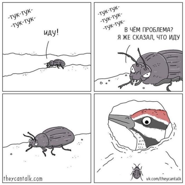 Картинки для деградации 178 (разной степени свежести)