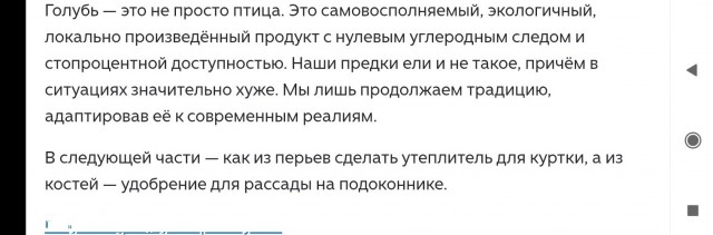 Мужик собрал автоматическую турель с ИИ для борьбы с голубями