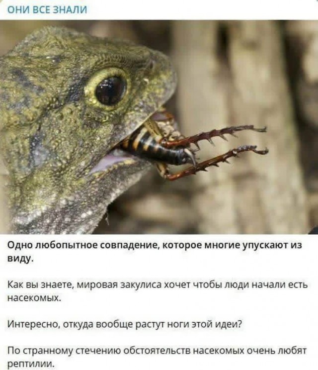 Картинки для деградации 208 (разной степени свежести)