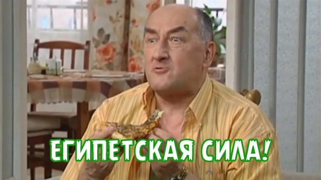 Опасные тропические комары атакуют регионы: чем грозит их укус