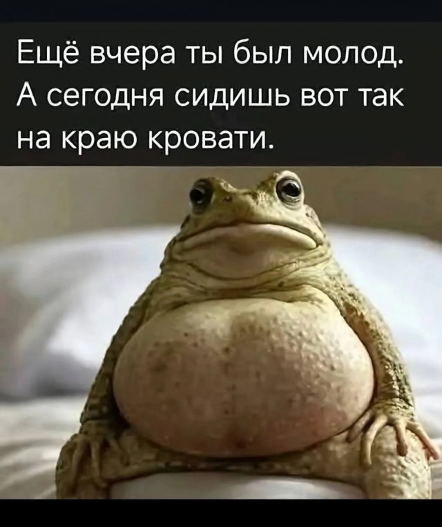 Веселые картинки в понедельник (08.06)