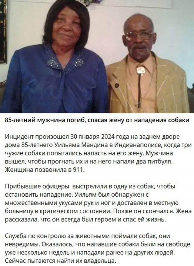 Исторические события в кадре