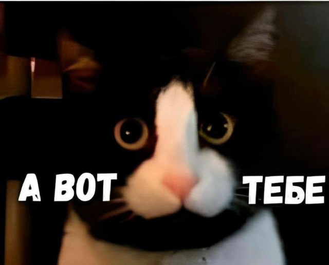 Котеек необычных псто