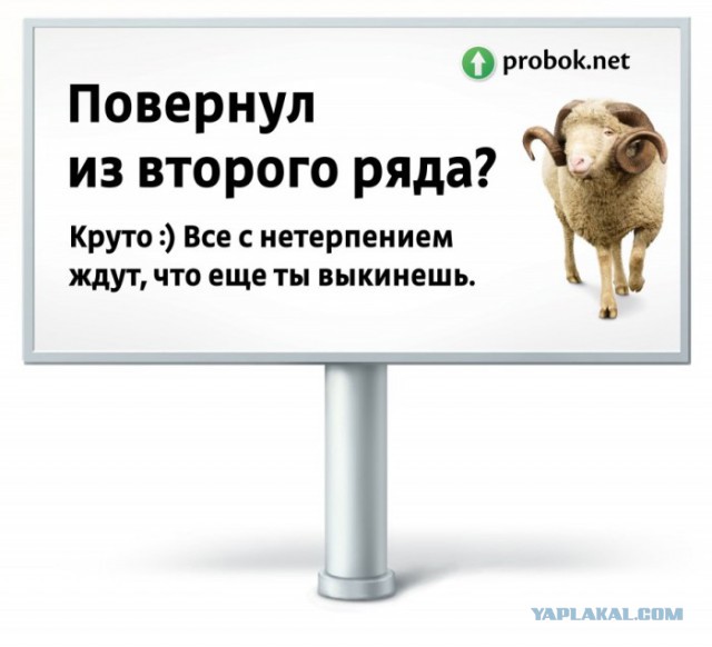 Водителей-хамов будут высмеивать плакатами