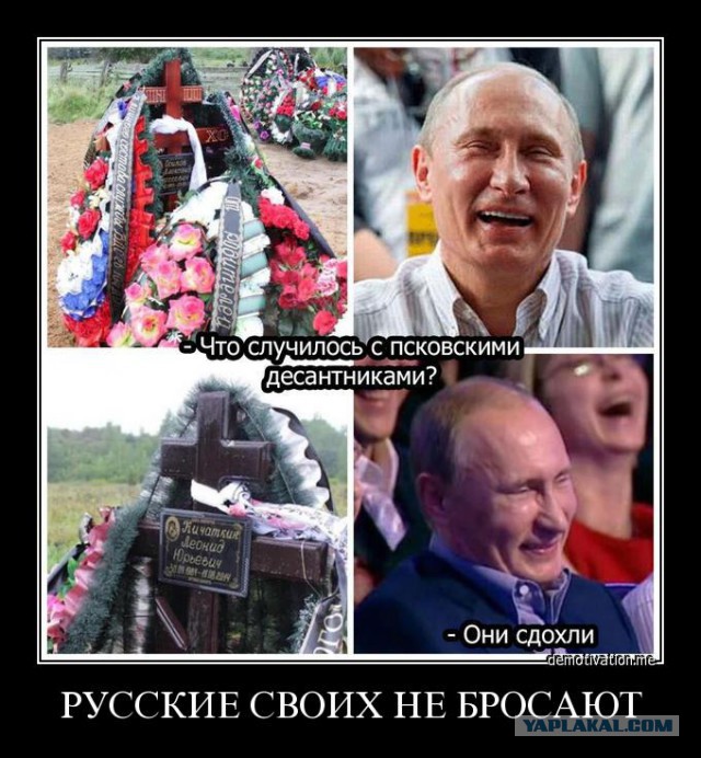 Очередной бред!