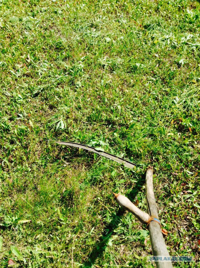 Плюсомет со шпалометом