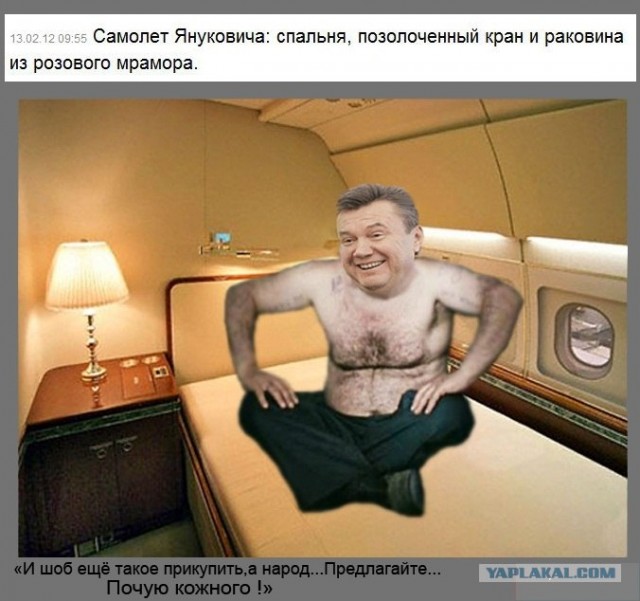 Янукович обзавелся самолетом из золота и мрамора