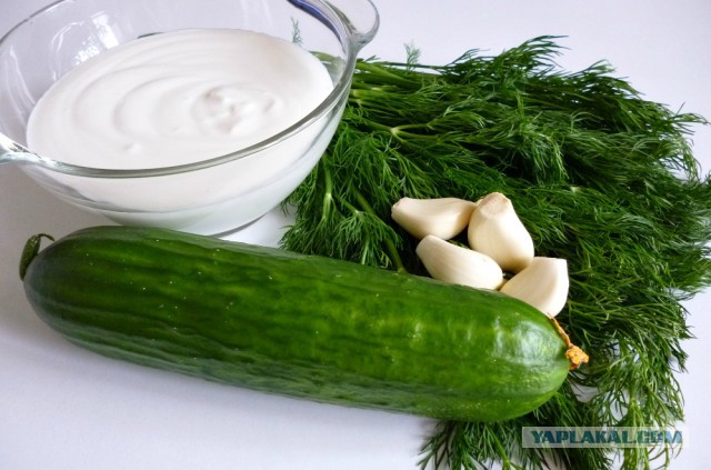 Кефтедес с соусом дзадзики