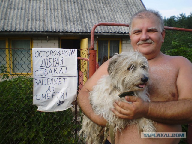 Таблички собачьи