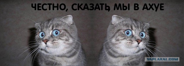 Мужу Димке