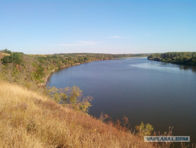 Я узнал, что у меня есть огромная семья