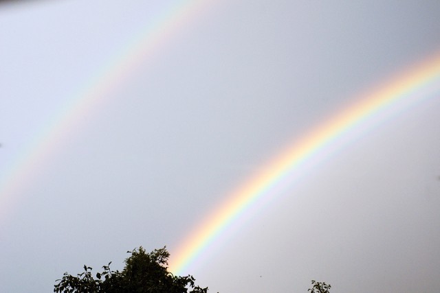 Я узнал, что у меня есть огромная семья