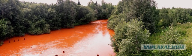 А в Перми море и курорты есть?
