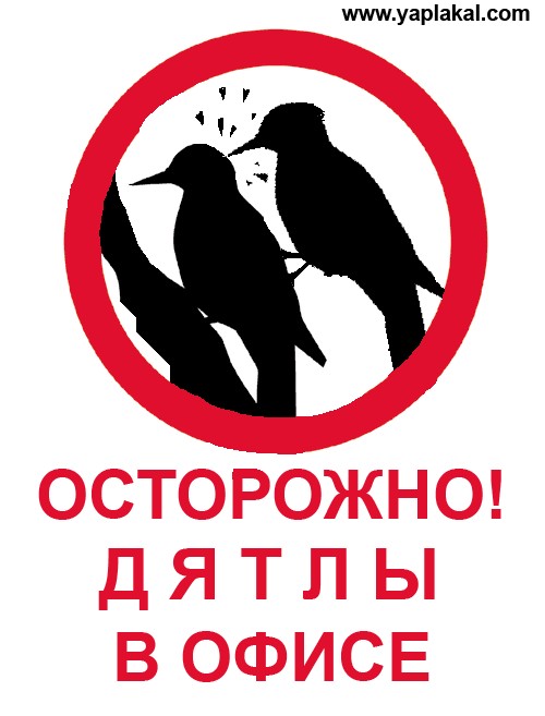 Фотожаба: Осторожно, дятлы в офисе!