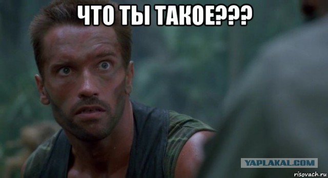 Группа "Блестящие"