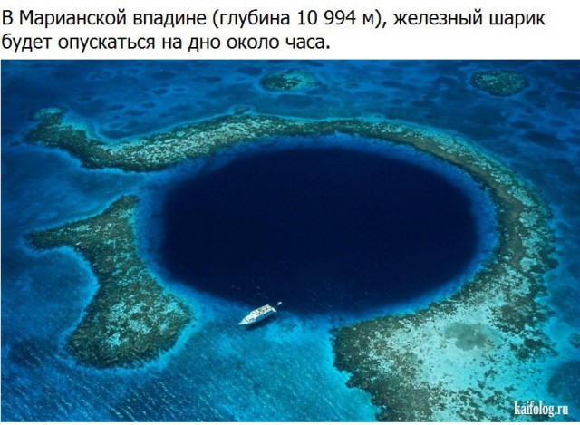 Фото интересные и не только