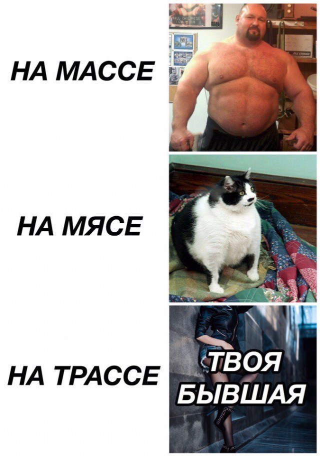 Немного деграданса - 9