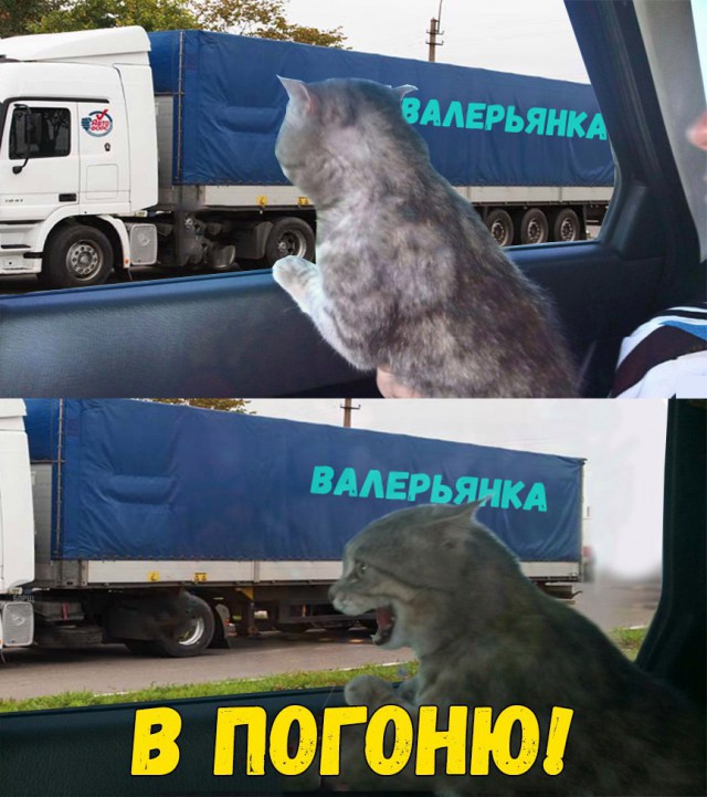 Подборка интересных и веселых картинок