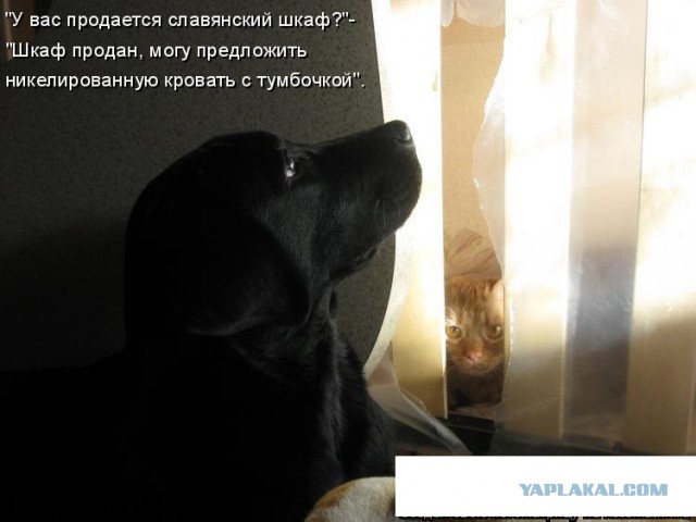 "Левые" сигареты