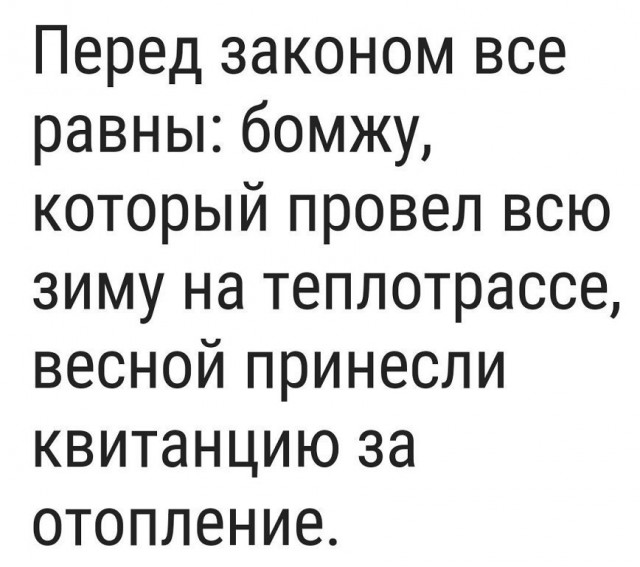 Подборка смешных комментариев из сети