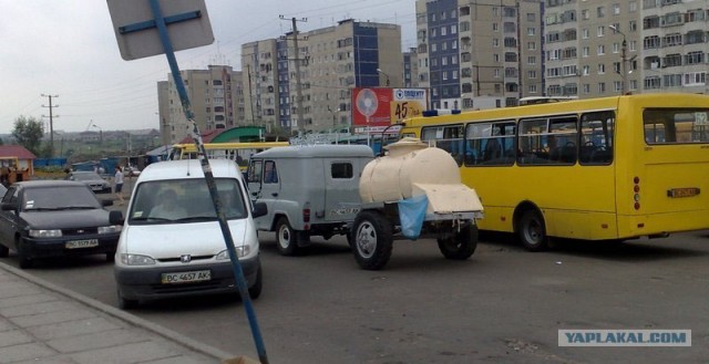 Жара, пить хочется всем!