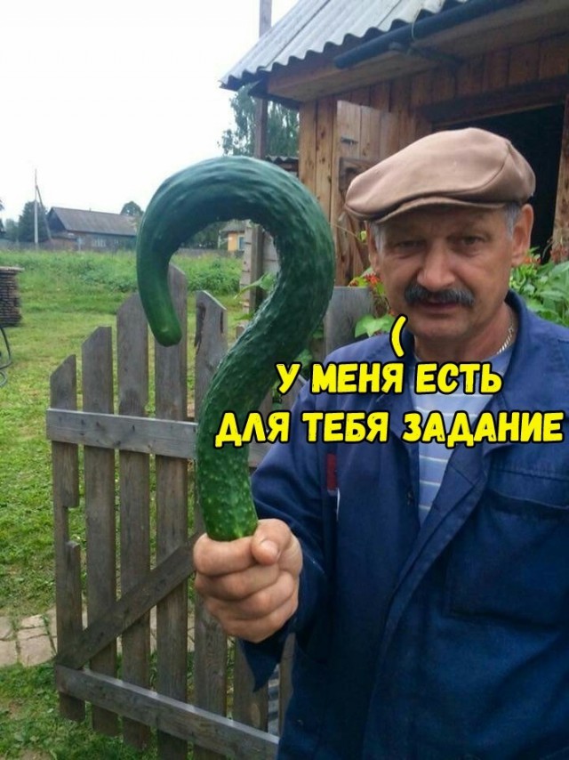Немного картинок в этот вторник
