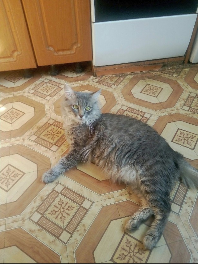 Немного милоты