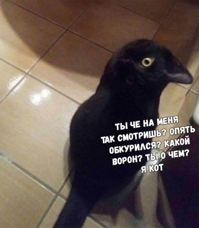 Фото и картинки с надписями