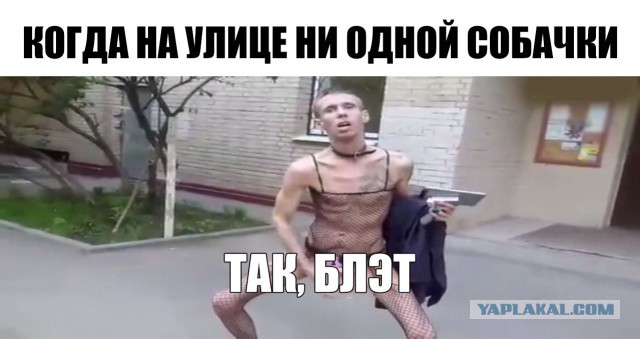 Панин переезжает в США