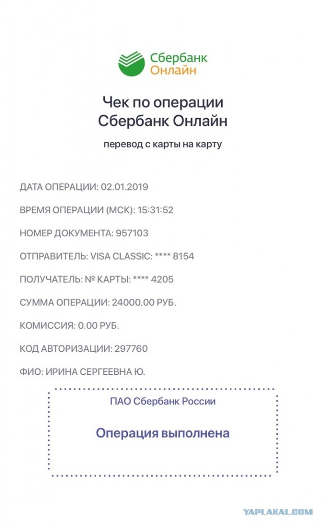 Помогите вернуть кота! Приют "Преданное сердце" украл кота и не отдает!-2
