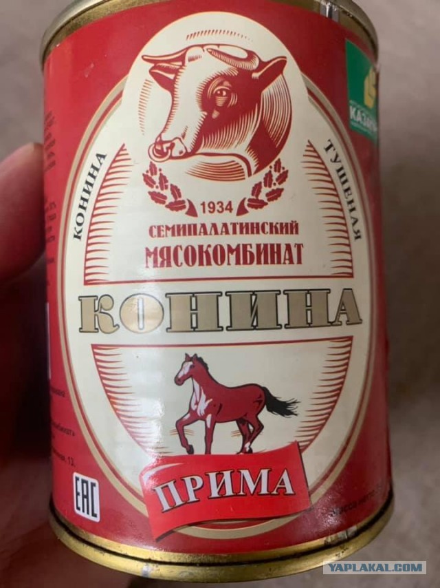 Бредзона 28.02.2020