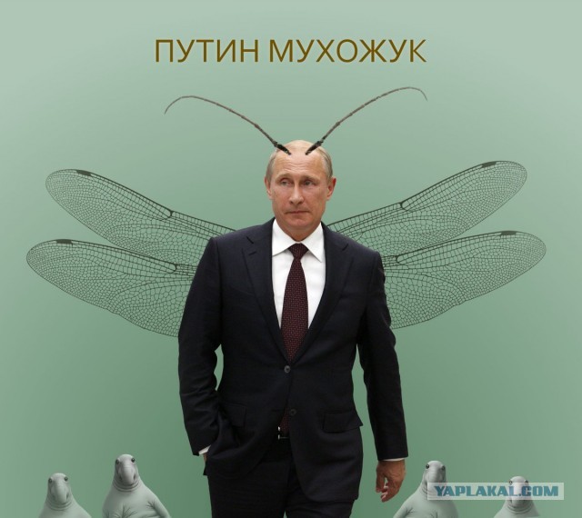 ​Путин выступит с обращением к нации в связи с голосованием по поправкам
