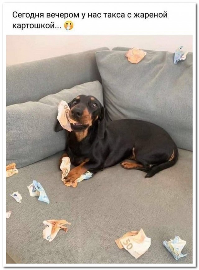 Забавные комментарии из социальных сетей (27.04.20)