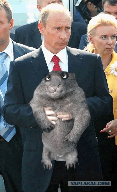 Фотожаба: Путин и зверь