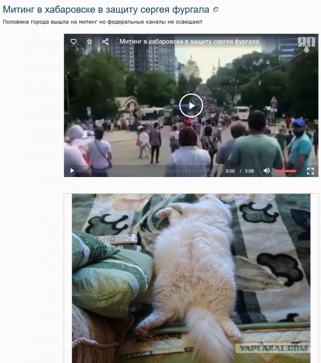 Митинг Хабаровск в поддержку губернатора