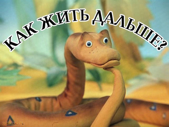 Испугали гигантскую анаконду