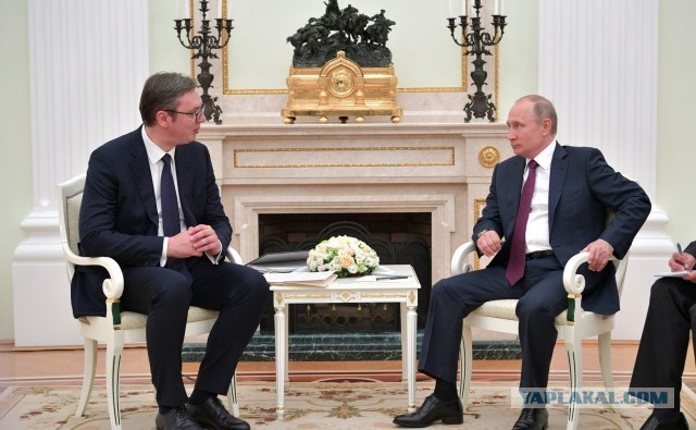 Путин извинился перед президентом Сербии за пост Захаровой с кадром из «Основного инстинкта»