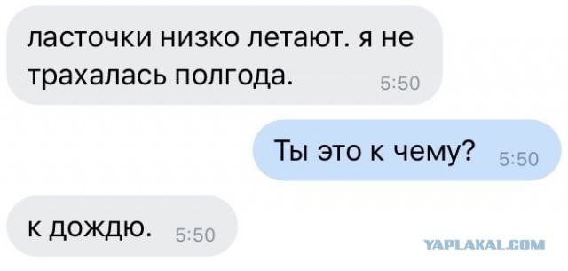 Бредзона 25.12.20