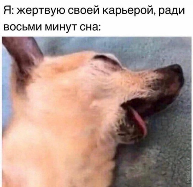 Не пропускай день деградации!