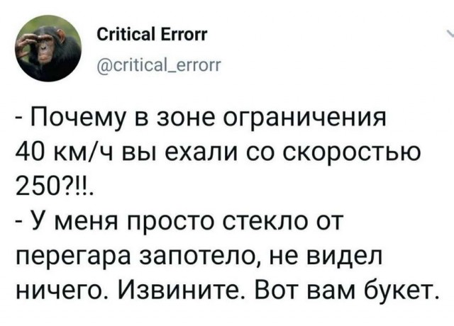 Бредзона 31.01.21