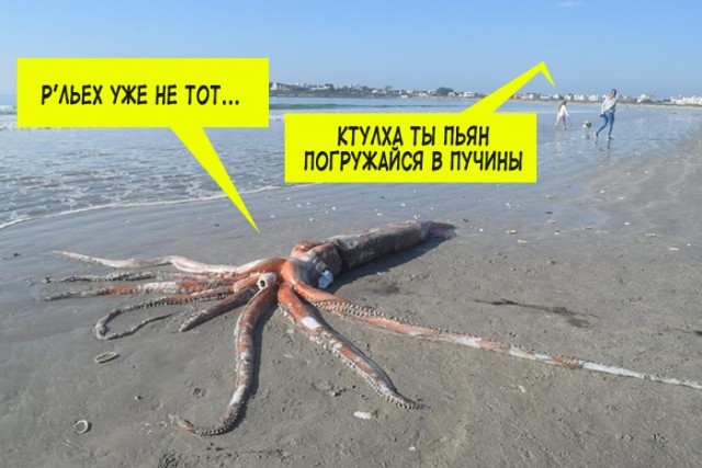 Эй вы, давно не деградировали?!