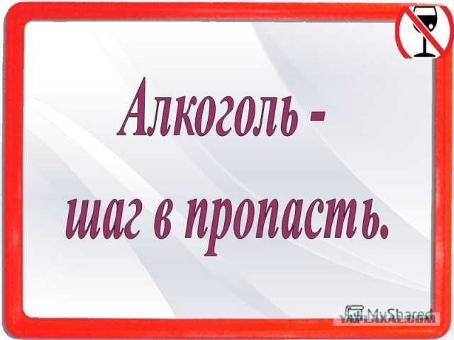 Алкопитница