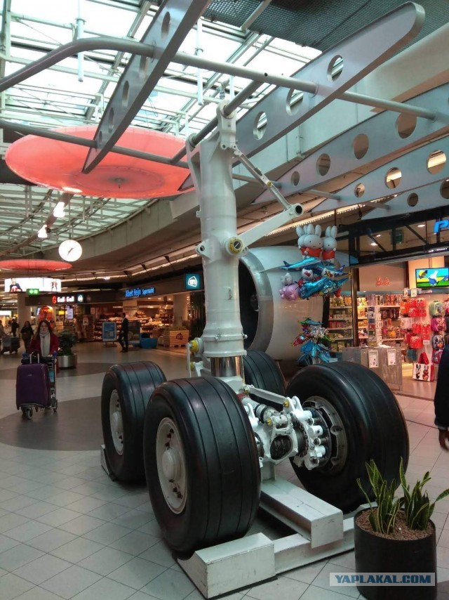 16 деталей жизни голландцев, которые доказывают, что между нашими странами — пропасть