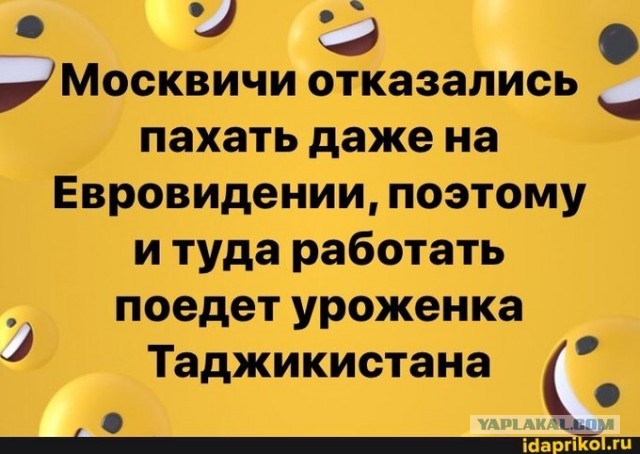 Картинки с надписями и всякие жизненные фразы
