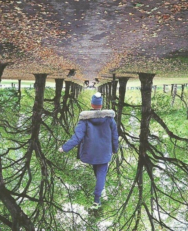 Crazy Art "МультиМедиа"