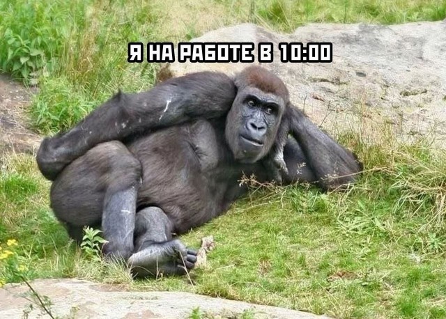 Странные короткие комиксы