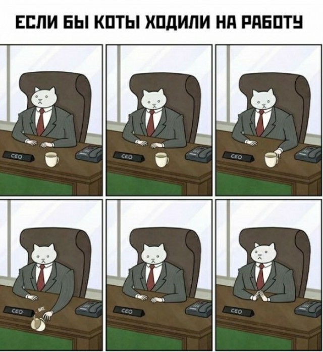 Зачем они это делают?