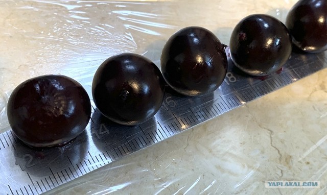 Кто чем на кухне орудует?