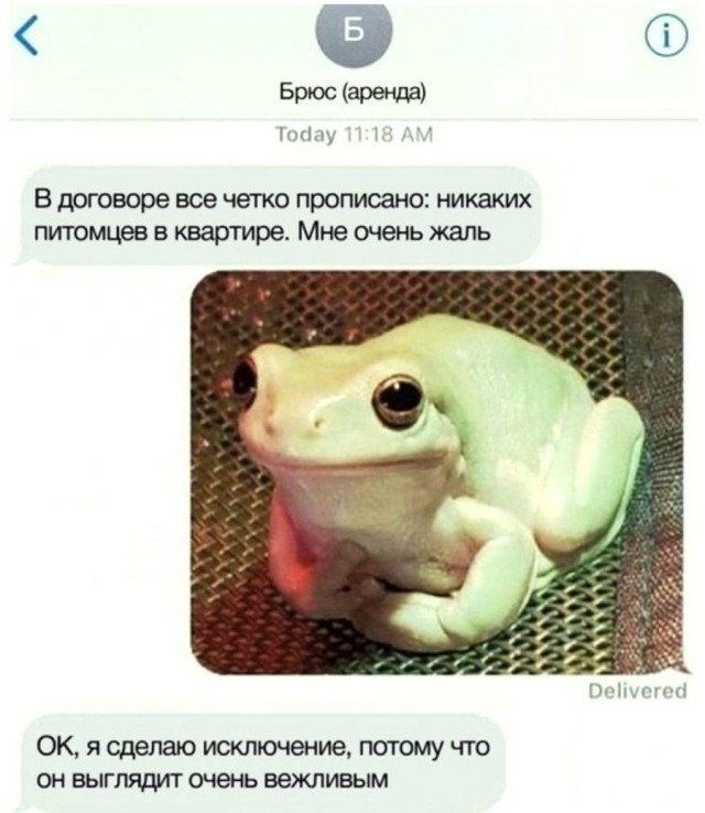 Так себе картинки 14.08.21