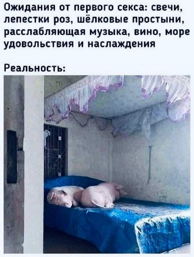 Пятница. И немного слегка пошлых картинок с надписями и без 16+ (27.08)